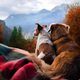 Image for article titled How to Decide Whether to Board or Bring Your Pet on a Holiday Road Trip